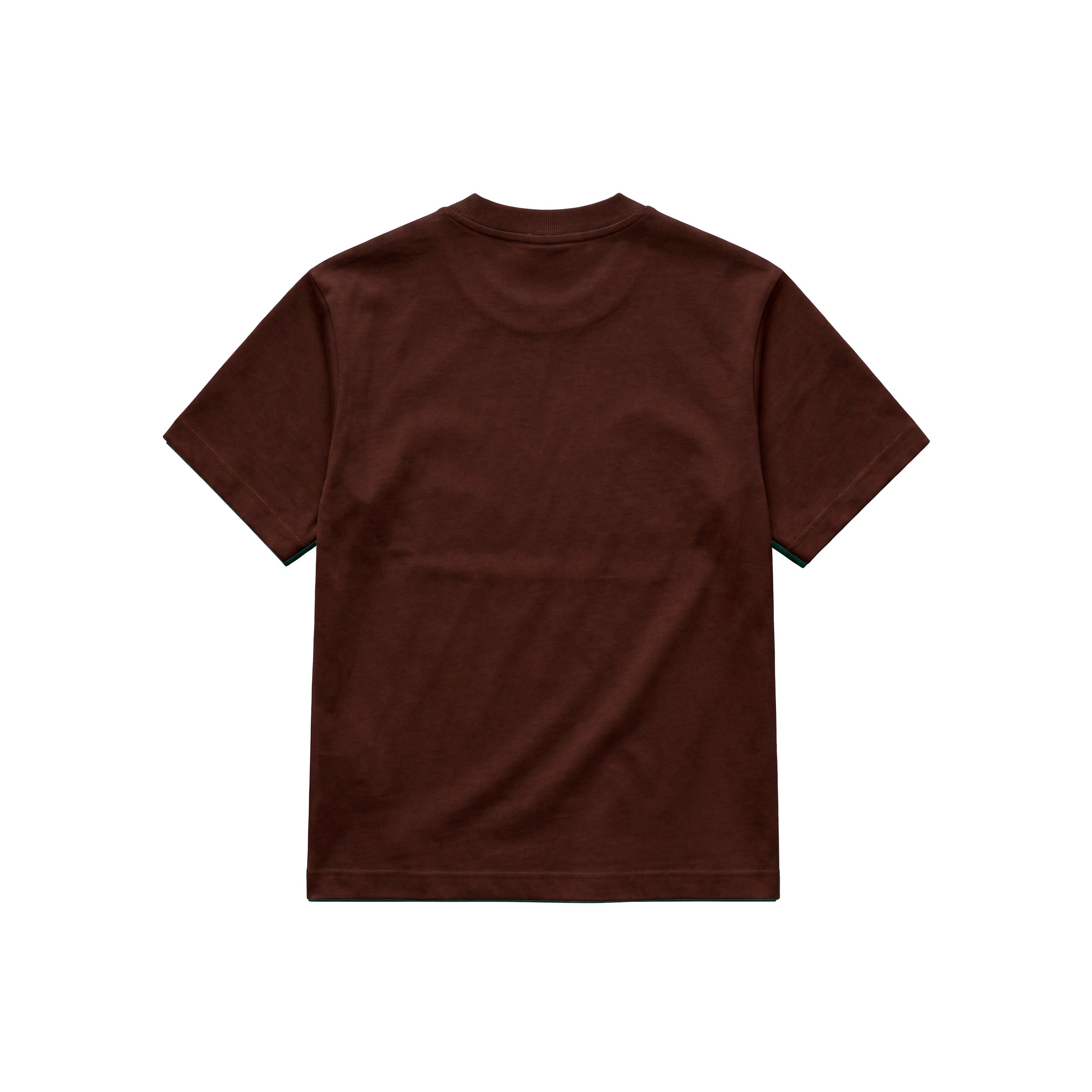 Camiseta Regular Fit - Marrón