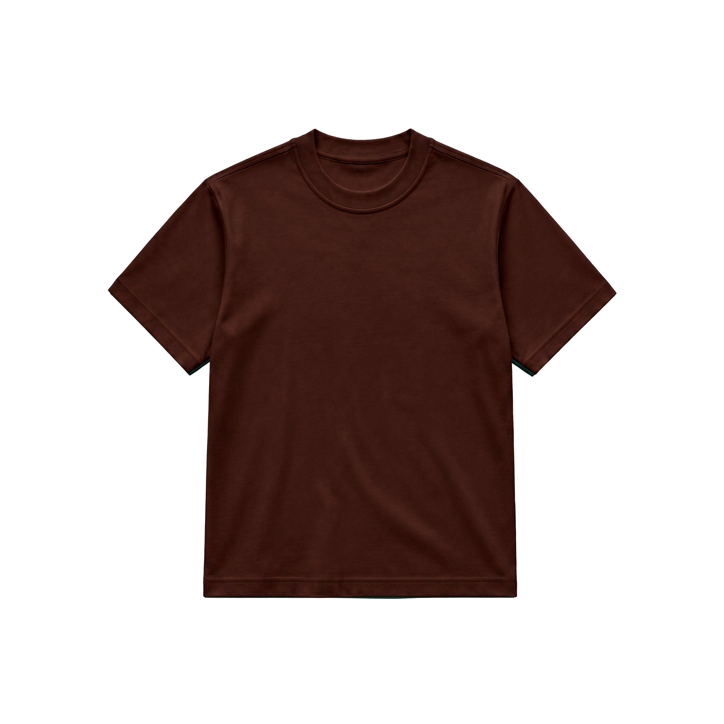 Camiseta Regular Fit - Marrón